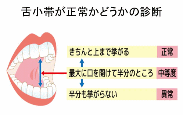 信州無限GP 総合受付 諏訪店（シンシュウムゲングループソウゴウウケツケスワテン）