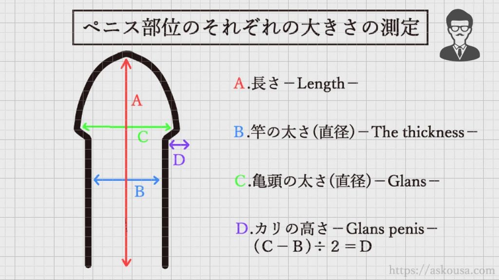 泌尿器科の専門医が解説】ペニスを大きくする方法〜自力・サプリ・器具・手術〜