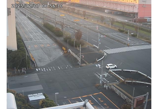 大井コンテナ埠頭概要東京港埠頭株式会社