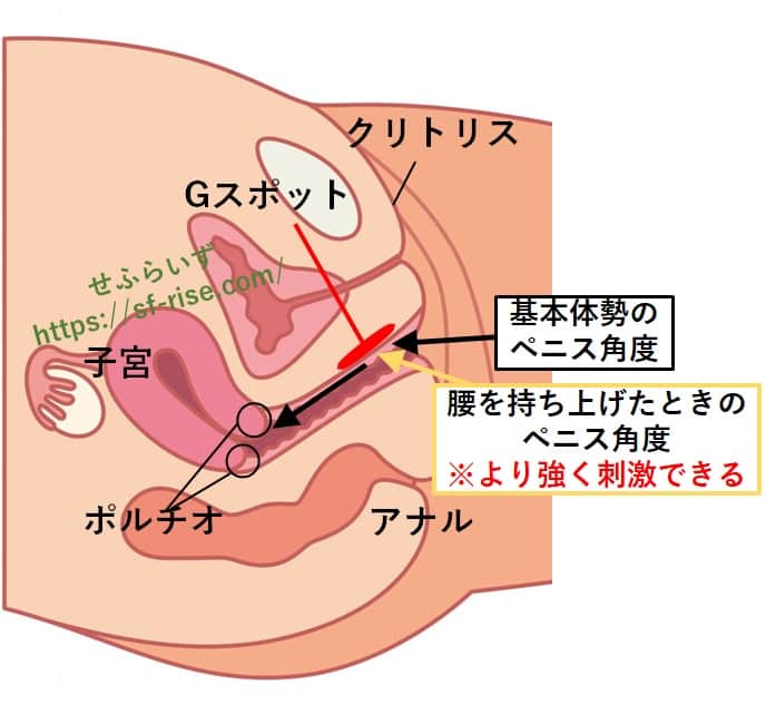 中イキ（膣イキ）のやり方とは？ Gスポット開発のコツを詳しく解説 | シンデレラグループ公式サイト