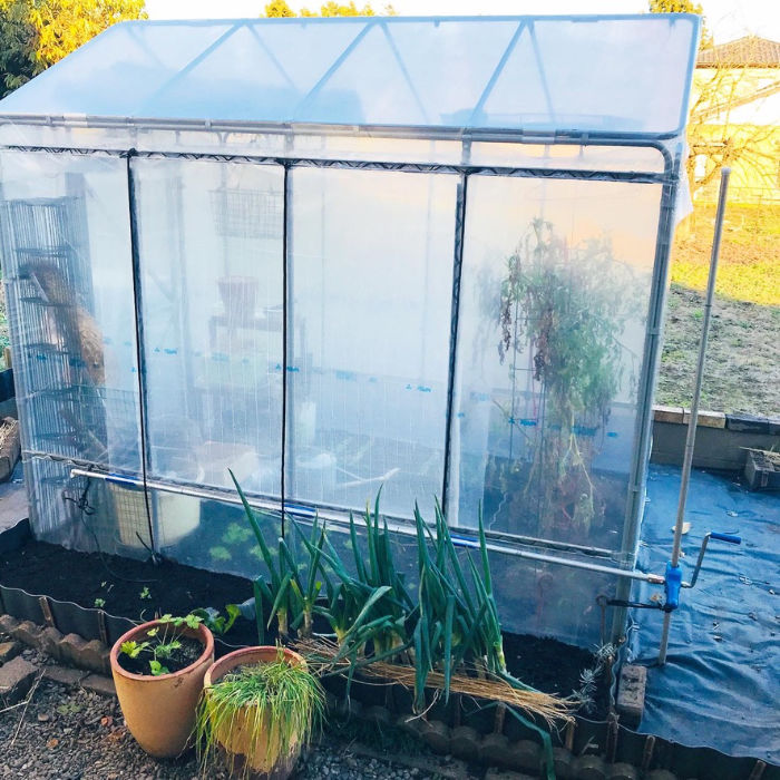 ビニールハウス 小屋家庭用ビニールハウス 小型野菜のおうち