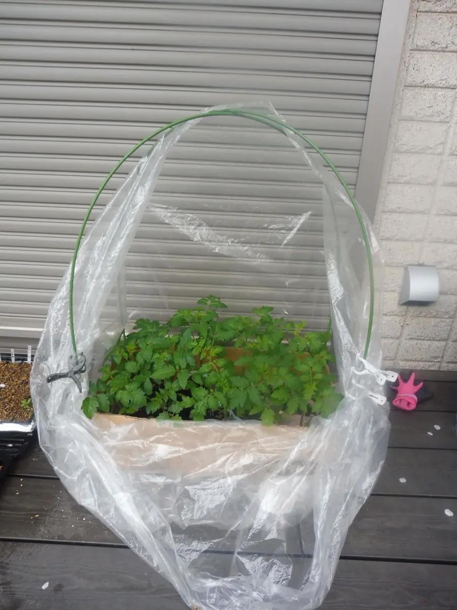 楽天市場 daim ダイムハウス ドアセット 1セット入 ビニールハウス diy 小型 家庭用 小型ハウス 家庭菜園 雨よけ 風よけ 保温 ミニハウス菜園ハウス 花 野菜 栽培 資材 農業 ビニール 部品 送料無料 : DAIM FACTORY ダイムファクトリ