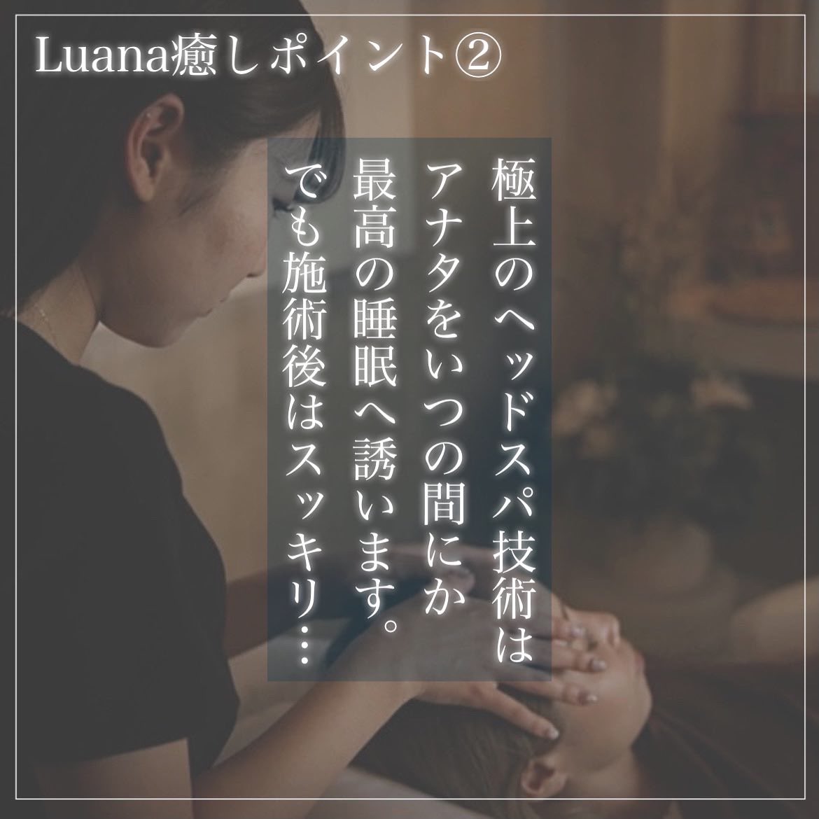 Luana | ペットシッターご利用 トイプードルのはるちゃん #ペットホテル