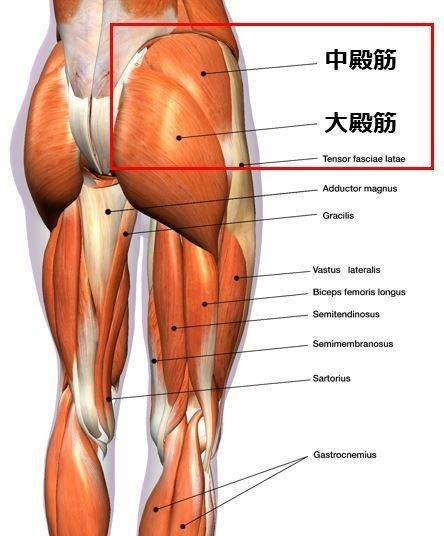 Amazon.co.jp: 【強度調整可能】骨盤底筋トレーニング 内転筋トレーニング 産後 エクササイズ