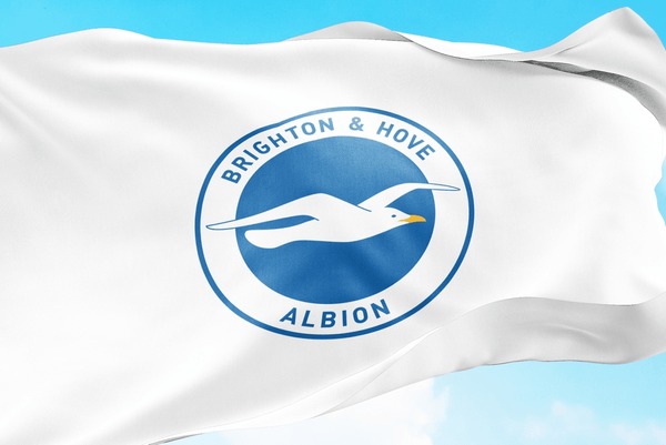 イメージを携帯電話にダウンロード: ブライトン & ホーヴ アルビオン Fc, スポーツ, 象徴, ロゴ, サッカー、無料。506340