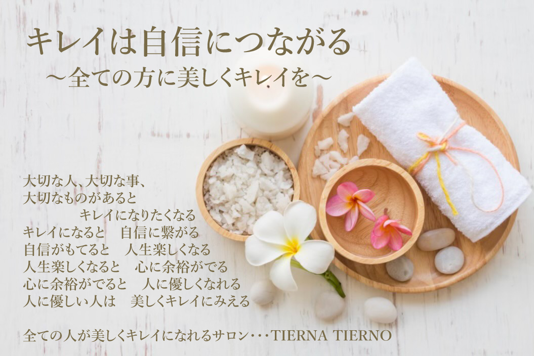 ティエルナ エーアイ 西大寺(TIERNA