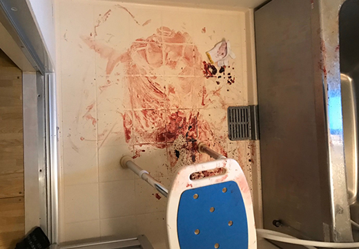 書肆ゲンシシャ 幻視者の集い on X: 