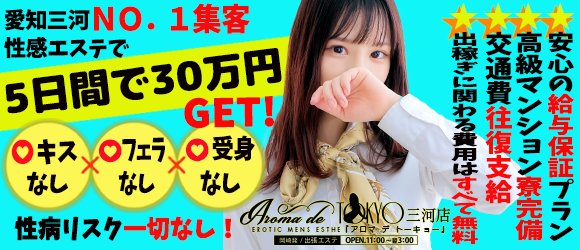 Aroma de TOKYO 岐阜店-岐阜出張メンズエステみんなでつくるガチンコ体験レビュー -