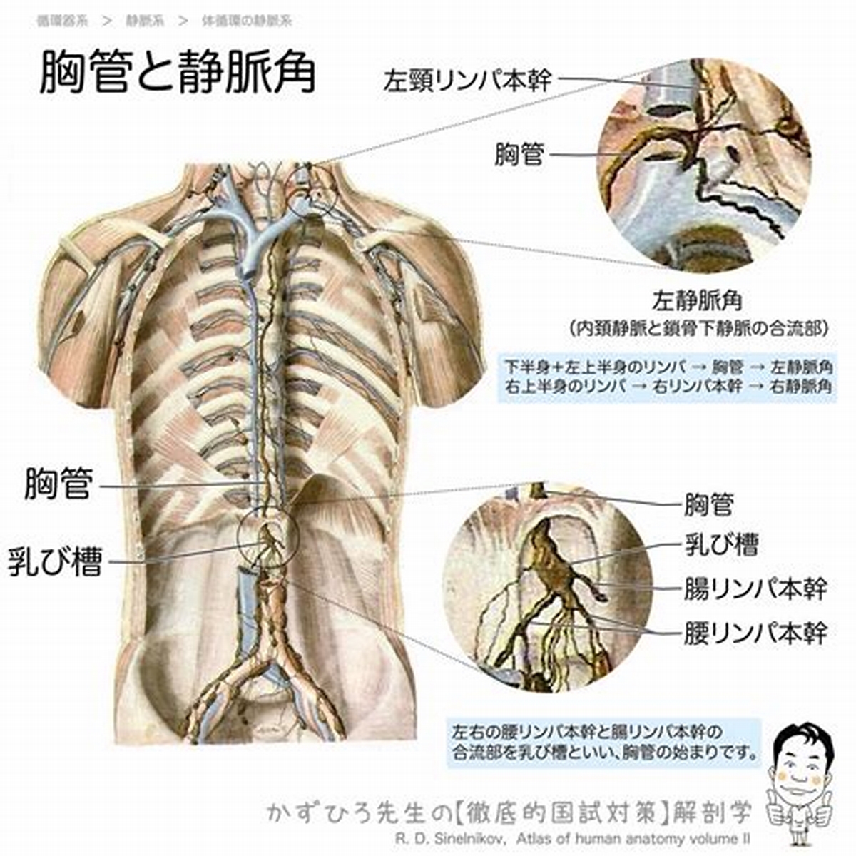 コスメテックスローランド / レベッカボンボン ネイル&ハンドトリートメントの公式商品情報｜美容・化粧品情報はアットコスメ