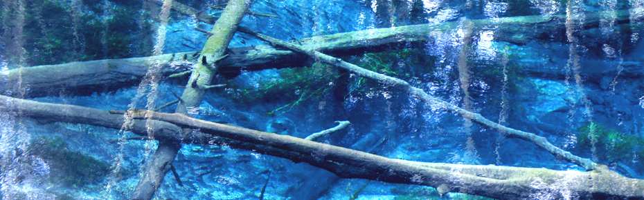 2025年 神の子池 - 出発前に知っておくべきことすべて - トリップアドバイザ