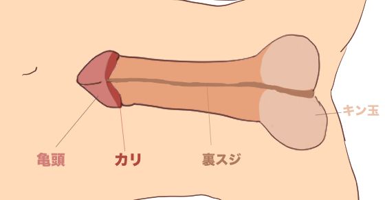 猫耳フェラにゃん 七沢みあ｜逆に昨今では新鮮味を感じてしまう歯無し舌無しなフェラホール : オナホ動画.com