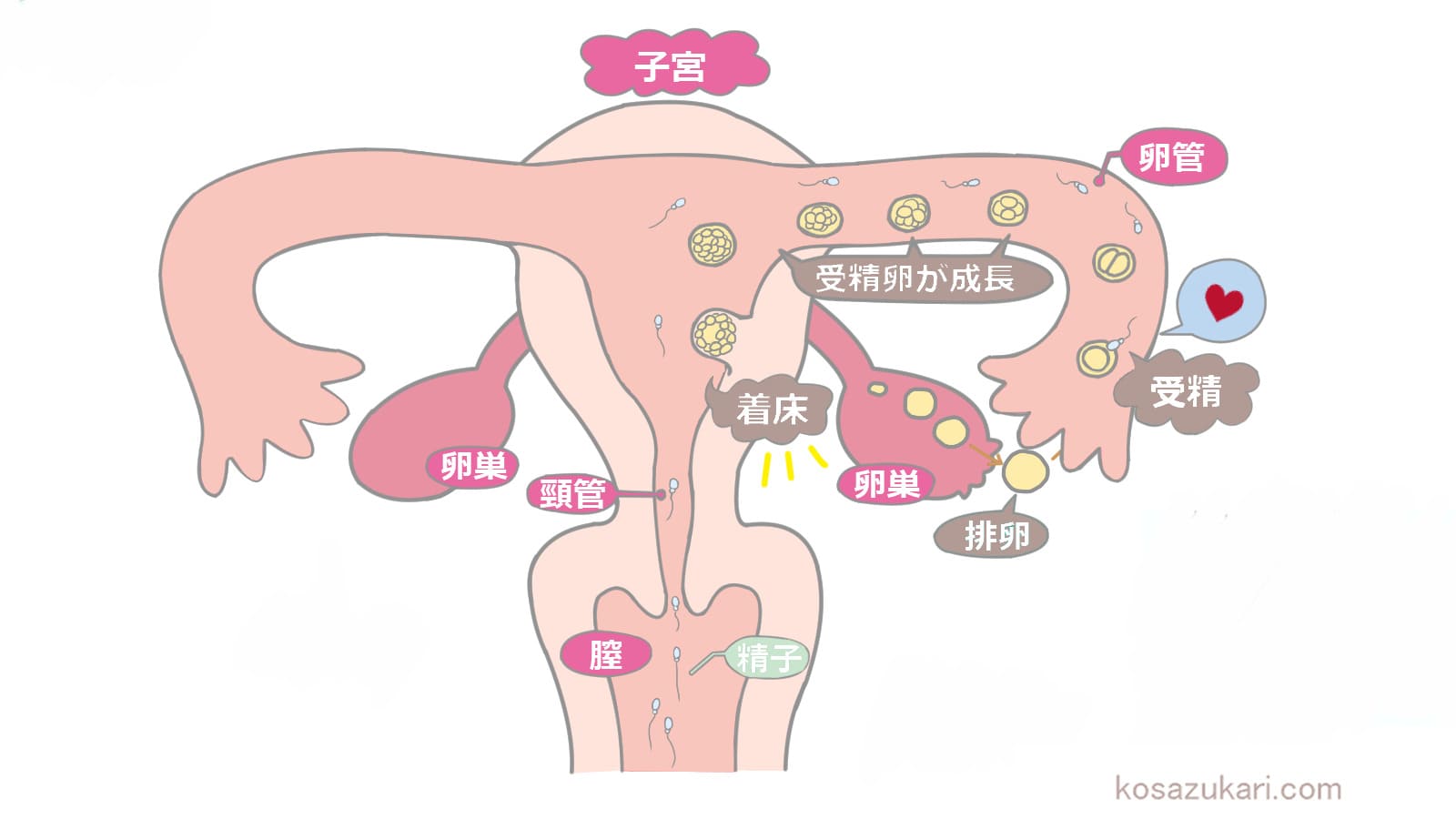 女性泌尿器科｜はなさと泌尿器科・女性内科クリニック｜日進市赤池