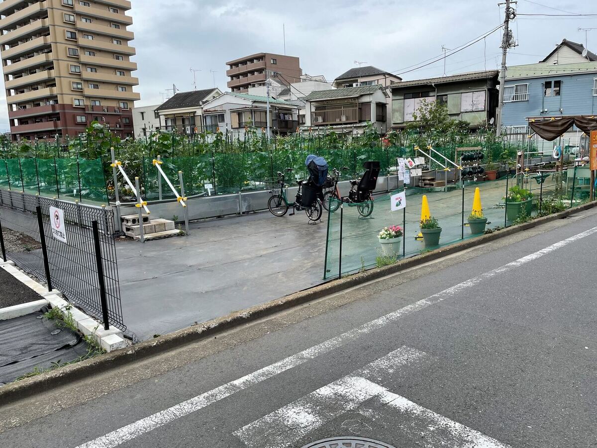 蒲田役の早見あかり。 - 島崎遥香が堤真一に塩対応？ドラマ「スーパーサラリーマン左江内氏」に娘役で出演 [画像ギャラリー 7/19]