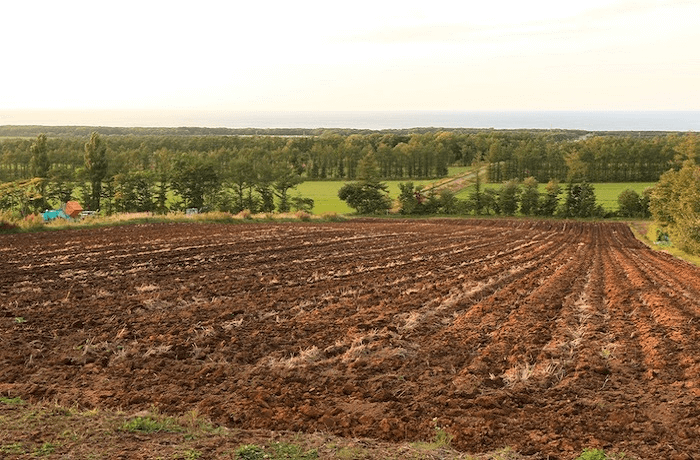 田舎の山や田んぼ、広大だけど「半分だけ売る」ってできるの？ブログ東灘区の不動産売却なら株式会社UnicornHousing