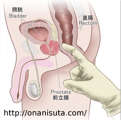 男の子のマスターベーション(オナニー)を知ろう【医師監修】 | セイシル