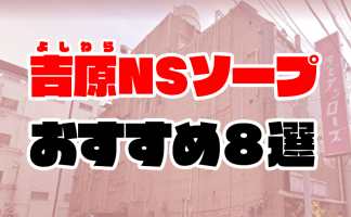 吉原のソープ店 人気ランキングTOP30 |