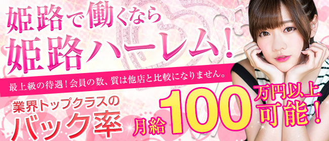 プリンセス姫路店の求人情報｜姫路・加古川・明石のスタッフ・ドライバー男性高収入求人｜ジョブヘブン