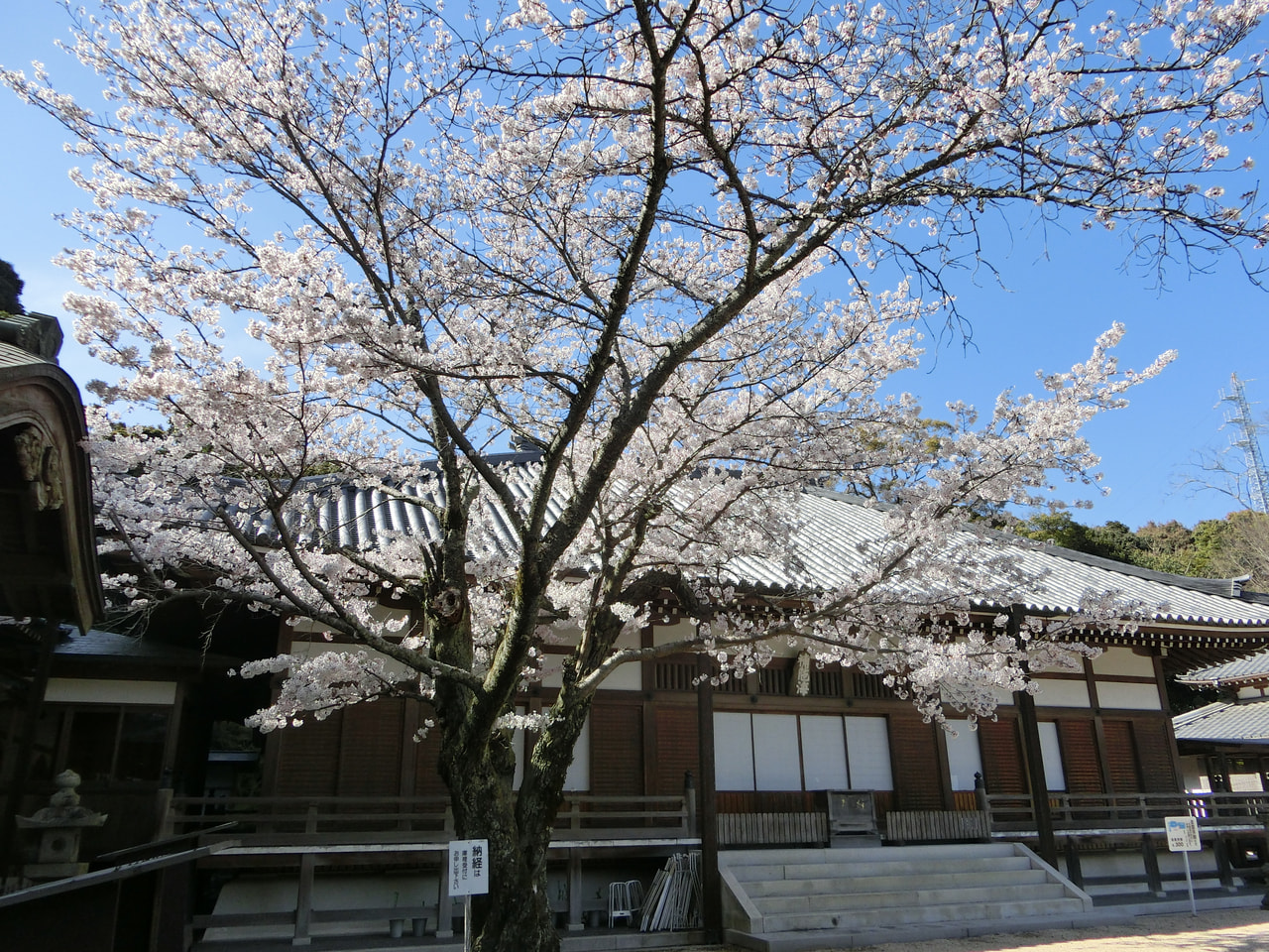 若手後継者の挑戦を、地域を挙げてプッシュ！【地域内連携】京都府宇治市 - ぼくらのアトツギベンチャープロジェクト