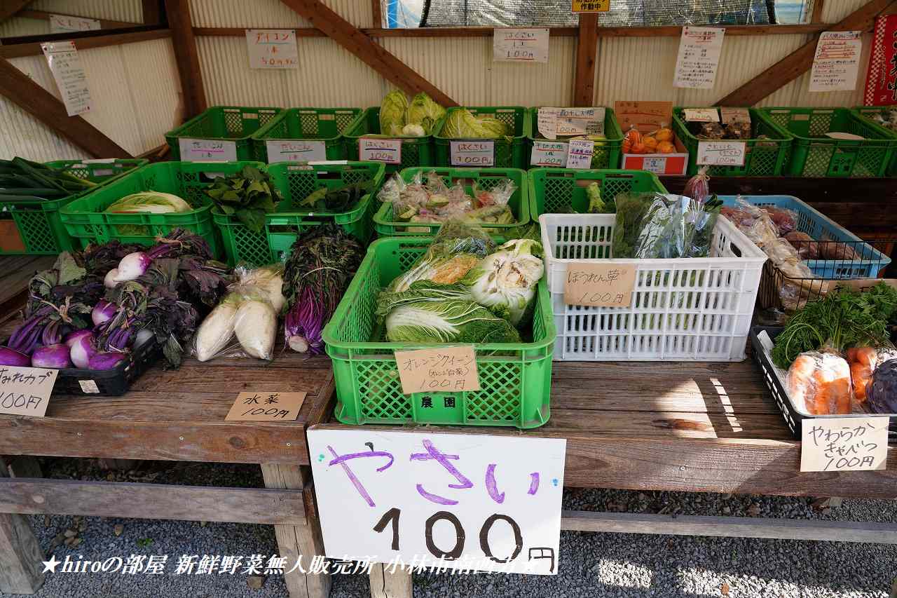 基山の無人販売所で採れたて新鮮野菜をいただく！地産地消の好循環。基山アレコレ