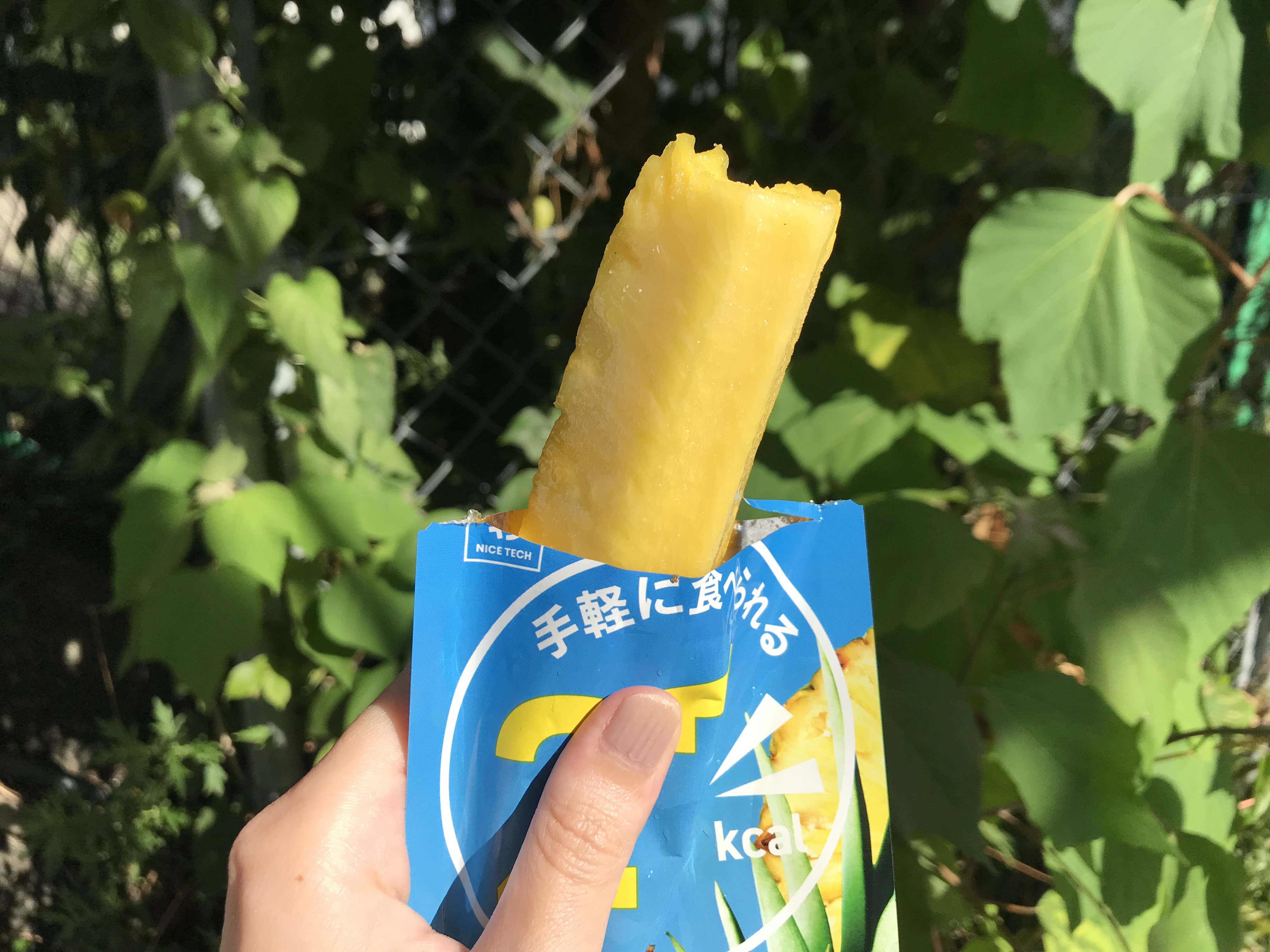 セブンイレブン実食本音レビュー カロリーが27kcalしかないパイナップルスティックがオススメ セブンイレブンに魂を売った男- エキスパート -Yahoo!ニュース