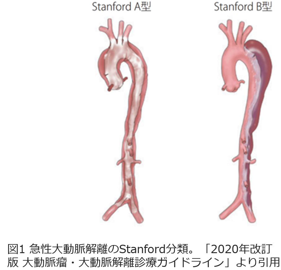 筑波学園病院 - 妊活・妊娠・安産の情報サイト - 子授かりネットワーク