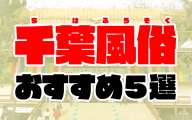 日本地理風俗大系 第３巻 関東南部篇(新光社) /