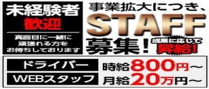 風俗店のバック率とは？相場・バック率の交渉方法などを解説 | ザウパー風俗求人