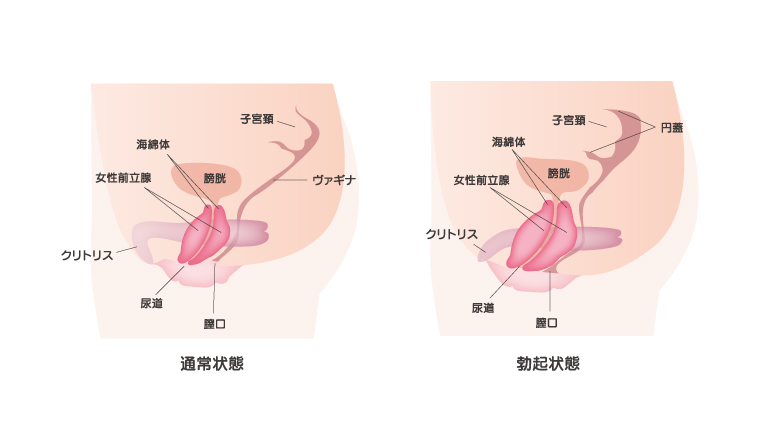 伝説の巨乳 「絵理香」18歳Gカップ 再び…