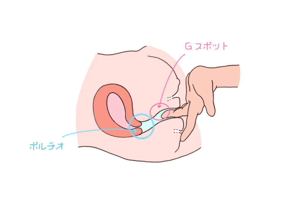 男が手マンの時に考えていること イク方法、お願いの方法も伝授 |