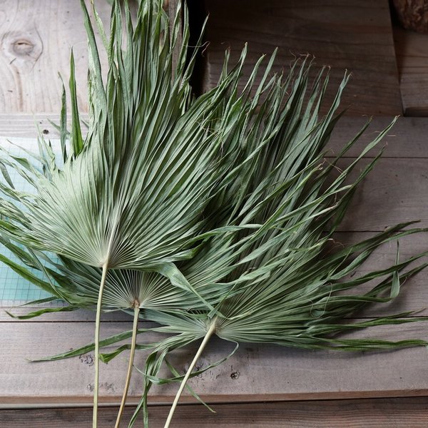 日本・リトアニア関係在リトアニア日本国大使館