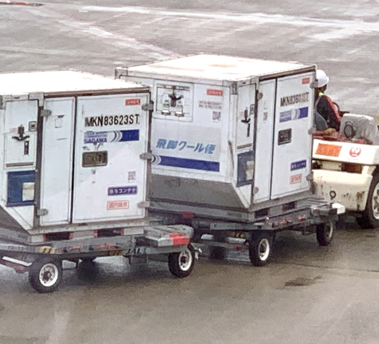 金鶴に積み込まれていく飛脚クール便コンテナ✈️