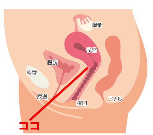 処女への手マンや愛撫方法！処女膜と指入れ - 夜の保健室