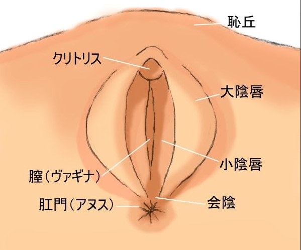 クリイキとは？クリトリスでイクためのコツと開発方法！ - 夜の保健室