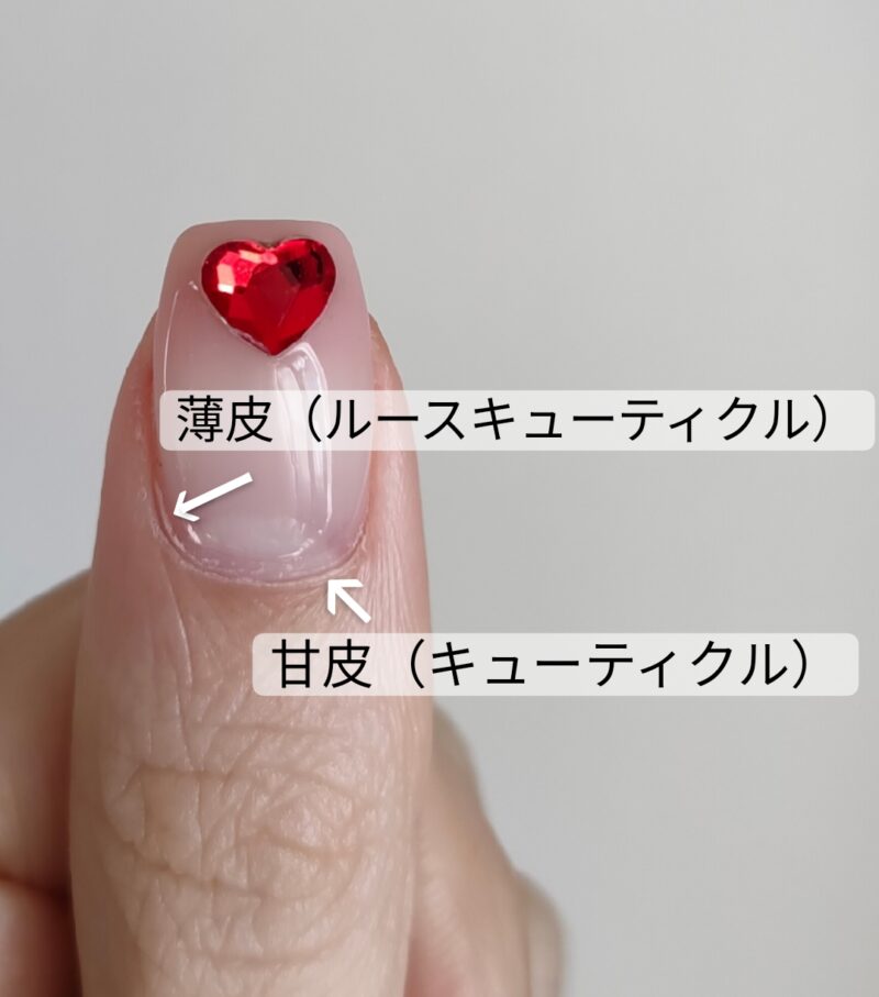 キューティクルケアスティック｜ネイリストの使い方を徹底解説 - 美爪育成の基本💅甘皮ケアをセルフで簡単に💕 by ばんび🍇(混合肌)