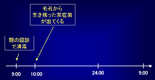 FedEx トランスポーター ダイキャストキット♪ : キャノンボール＋１の日常♪