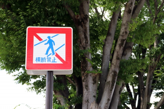 横断歩道の標識について理解している？正しい交通ルールについて教えて！おとなの自動車保険
