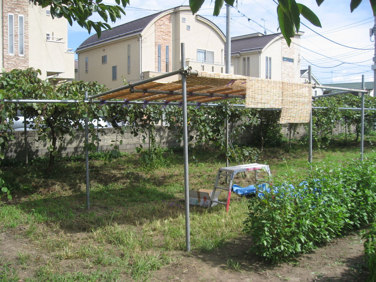 ５月は単管パイプで遊びましたランクルマニアのブログ愛車は 時代遅れの車達 - みんカラ