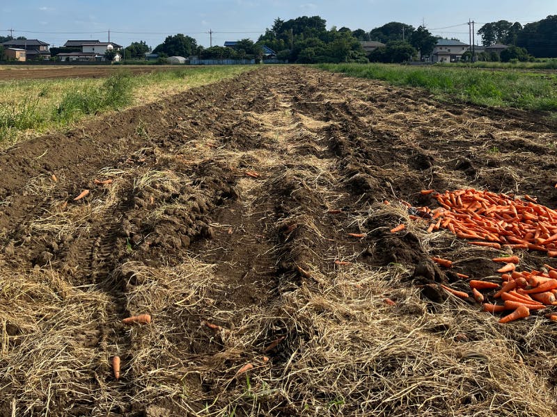 まー様☆専用 まー様専用 ローション 美容液 クリーム