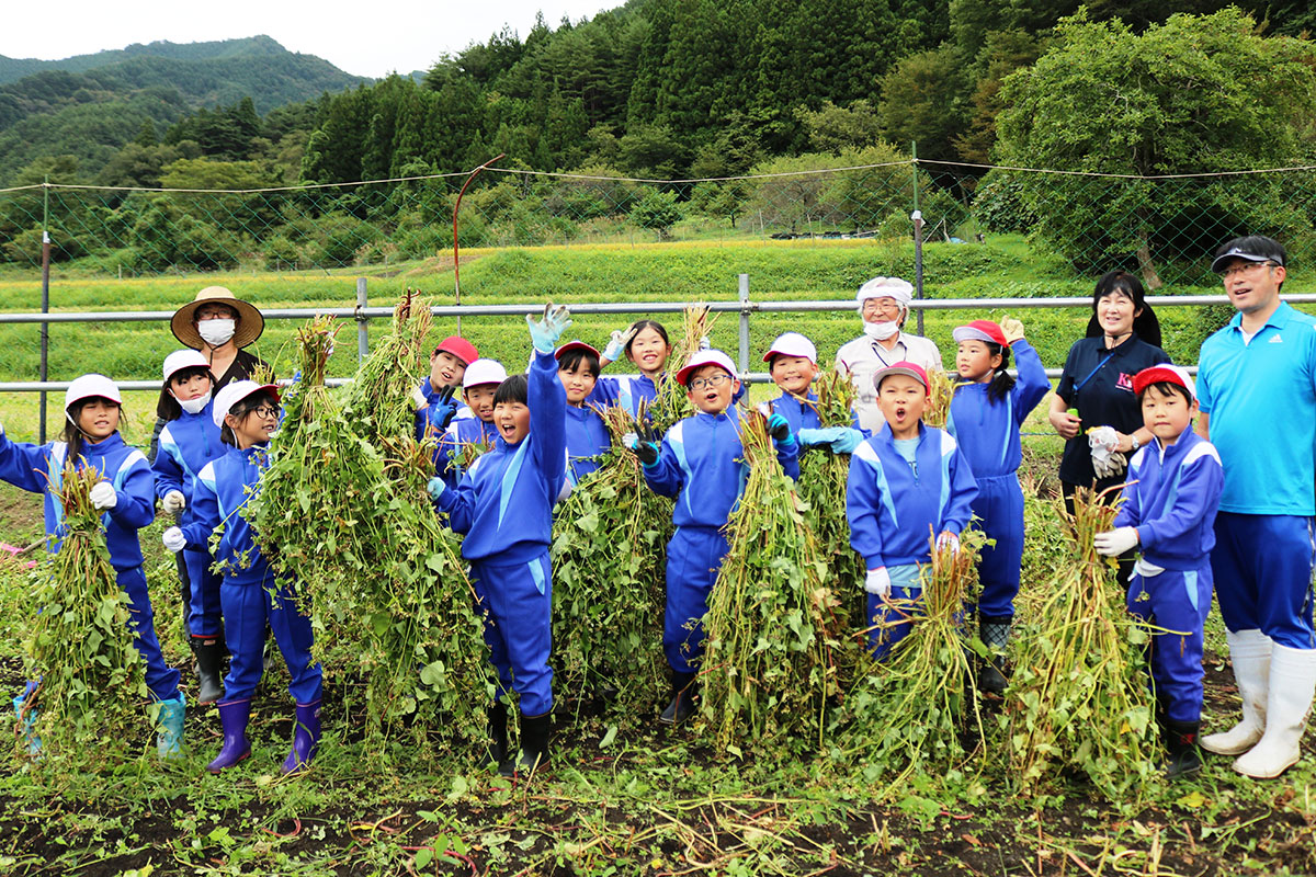 文化財スポットガイド「野毛大塚古墳・等々力渓谷」（令和6年3月13日～6月22日）／世田谷区 - その他の地域のニュース、お知らせ