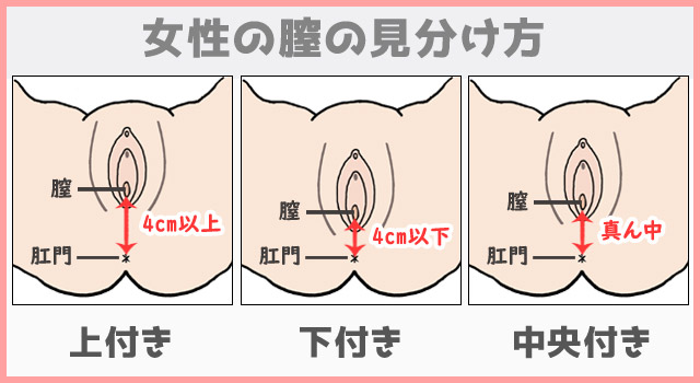 恋愛カウンセラーが教える最高に気持ちいいセックスの体位 by アスカ真琴 on