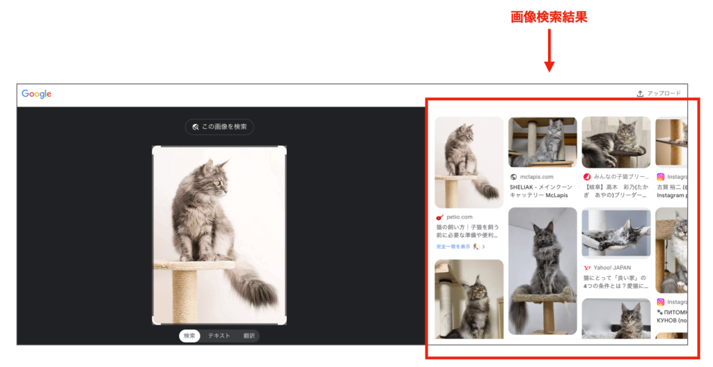 実際に使える顔検索サイトトップ3 – 詐欺に騙されないで