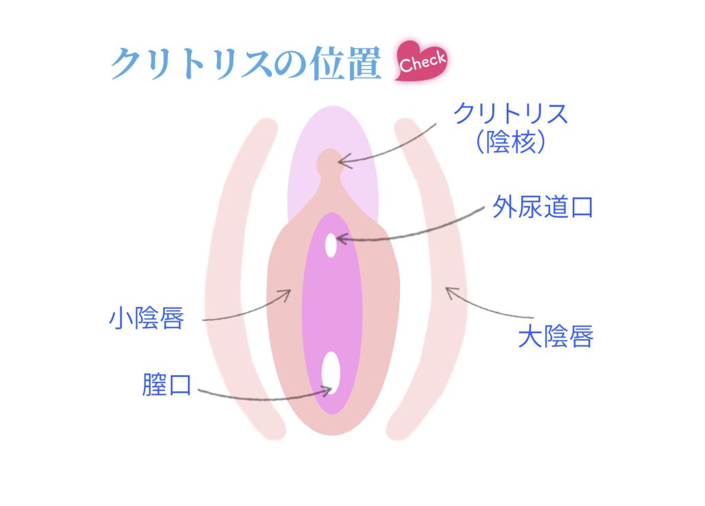 クリ舐めのテクニックを解説！イカせるやり方とは？｜風じゃマガジン