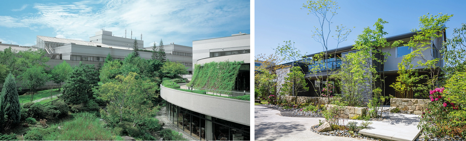 積水ハウス・デザインオフィスと建てた延床面積４７坪の実例紹介 １階編