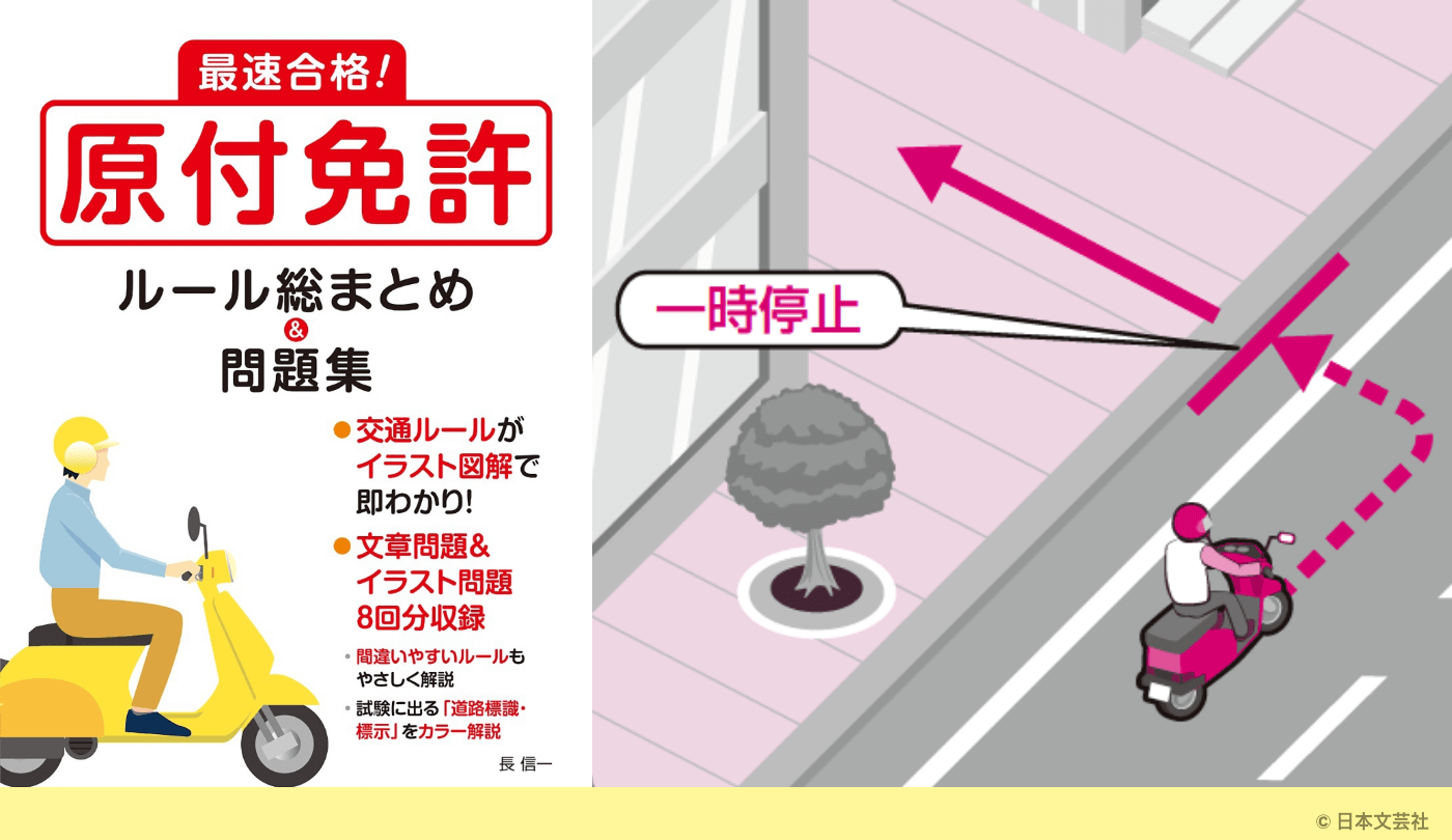 通ったら違反？ 道路の「ゼブラゾーン」の疑問！ 類似表示との違いとはInfoseekニュース