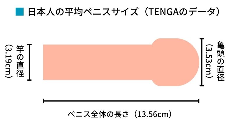 ちんこ16cmは女性にとって理想的？男性の勘違いに注意！