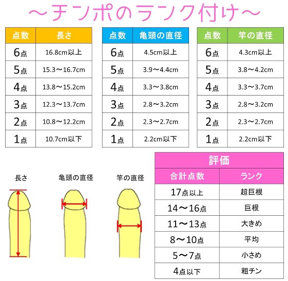 ペニスの大きさ平均は13cm！女性の理想サイズはさらにデカい！？｜薬の通販オンライン