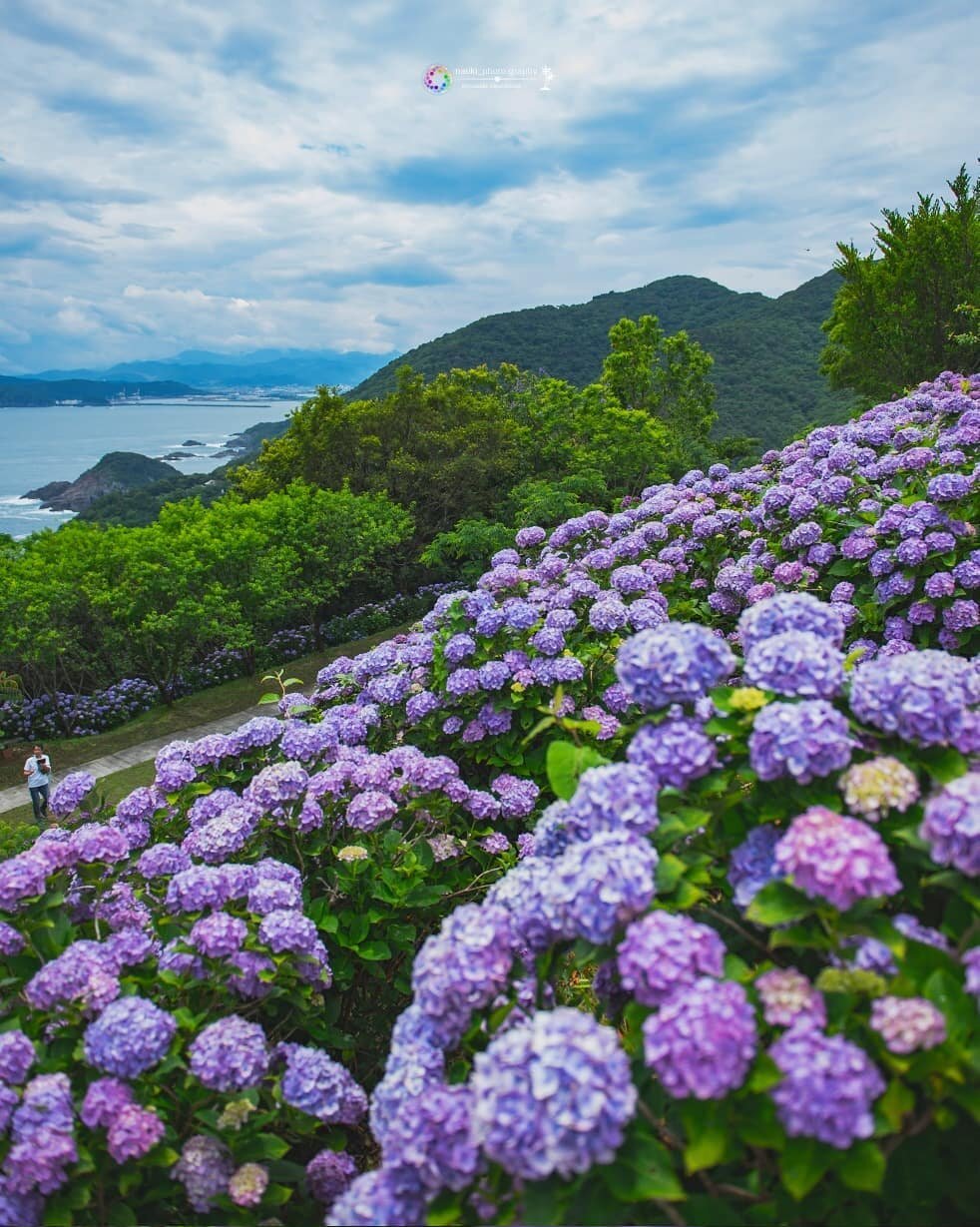 桃源郷岬 | 徒然草