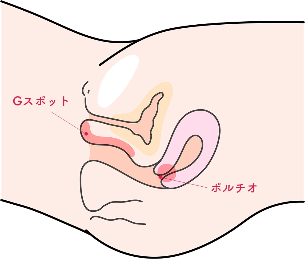 女性が中イキしやすくなる方法やコツからできない原因まで解説 | コラム一覧｜ 東京の婦人科形成・小陰唇縮小・婦人科形成（女性 器形成）・包茎手術・膣ヒアルロン酸クリニック