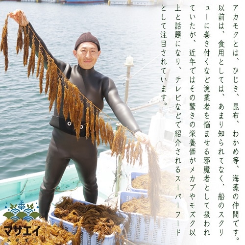 栄養たっぷり！あかもく！福岡県宗像から海の幸の贈り物 株式会社マサエイ水産加工