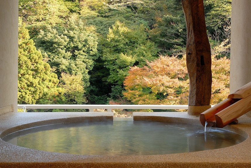 箱根水明荘 口コミ・おすすめコメント＜箱根湯本・塔之沢・大平台＞